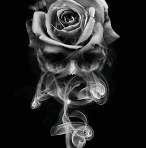 Meet your Posher, Ismael